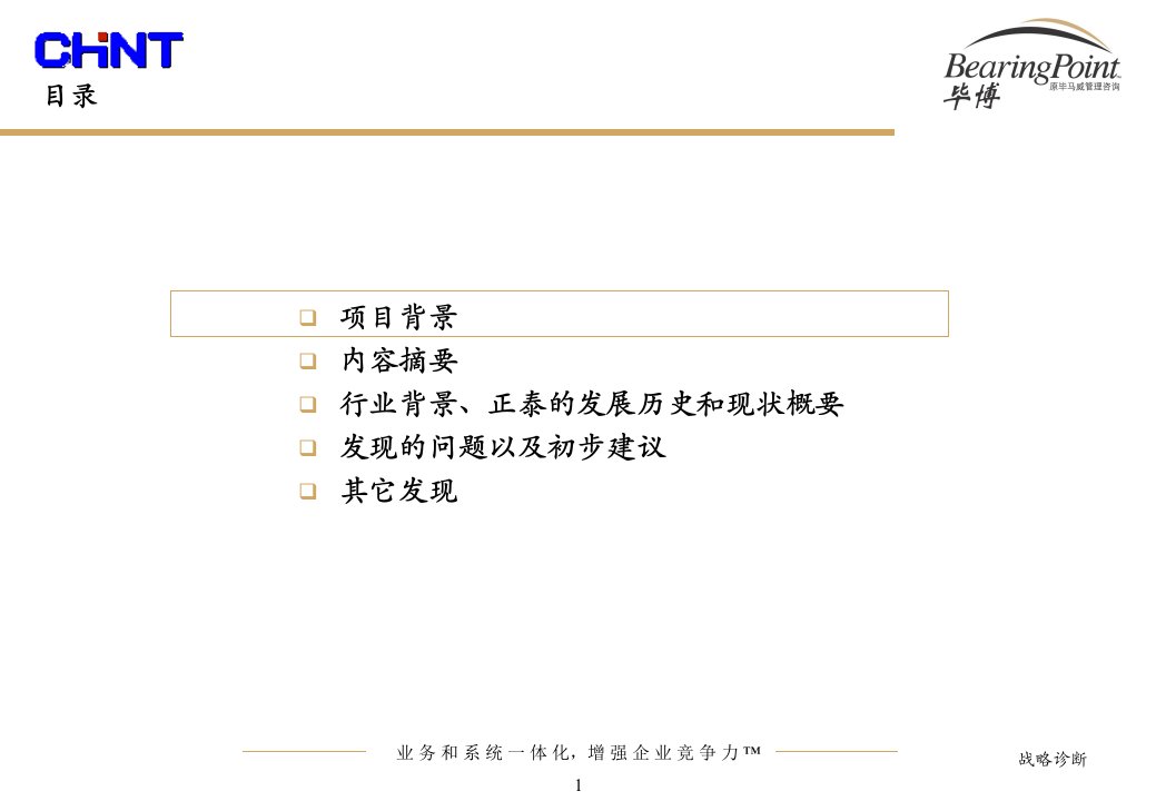 Chintdiagnostic毕博正泰资料数字化正泰项目战略诊断报告