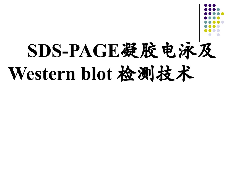 SDSPAGE凝胶电泳nWesternbl