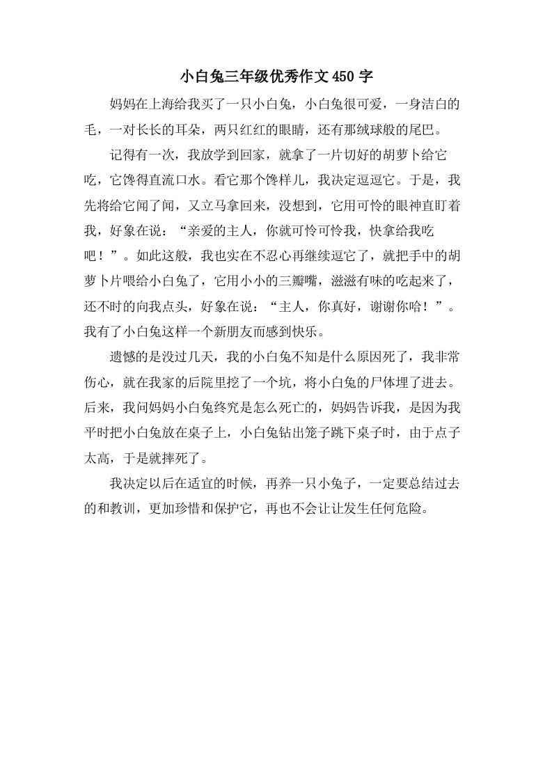 小白兔三年级作文450字2