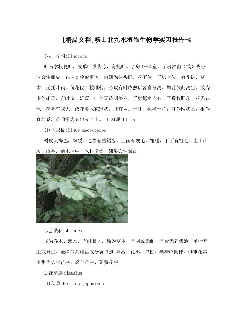 [精品文档]崂山北九水植物生物学实习报告-4