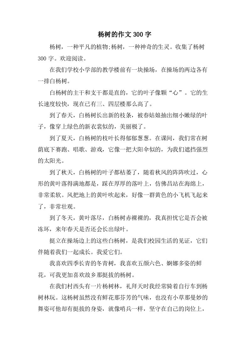 杨树的作文300字