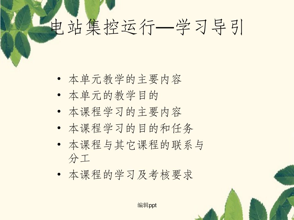 电站集控运行—幻灯片讲