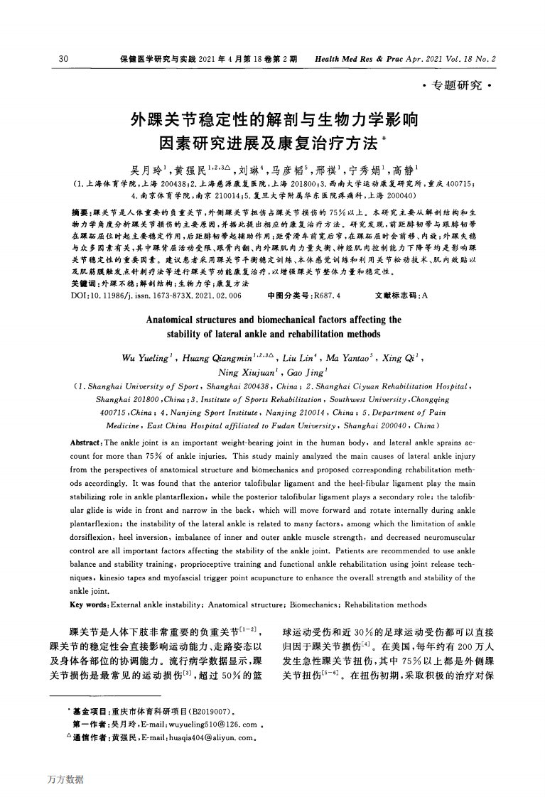 外踝关节稳定性的解剖与生物力学影响因素研究进展及康复治疗方法