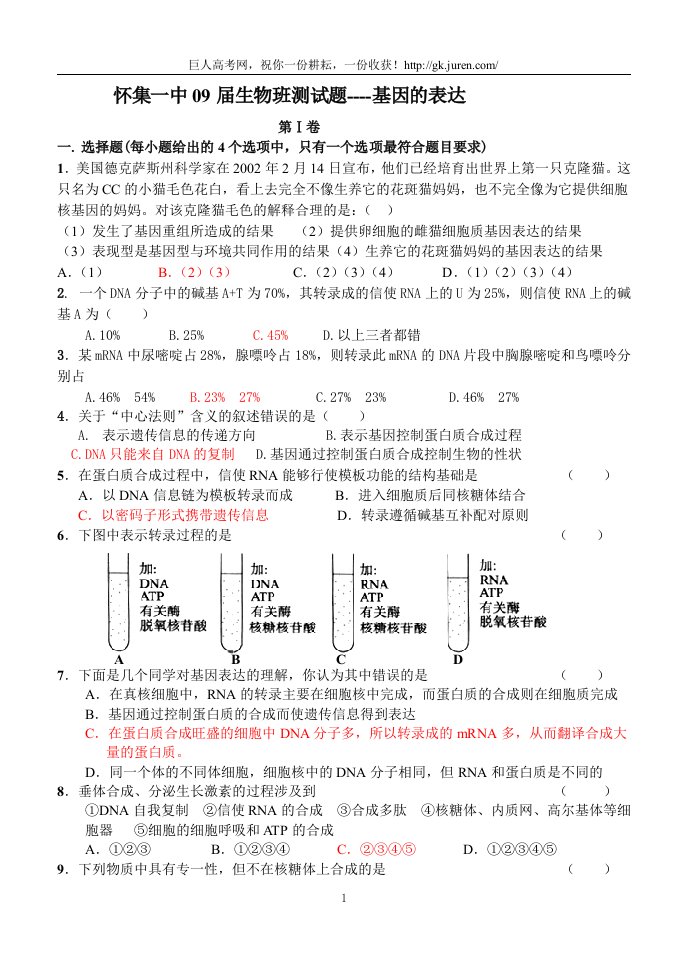 怀集一中09届生物班测试题----基因的表达