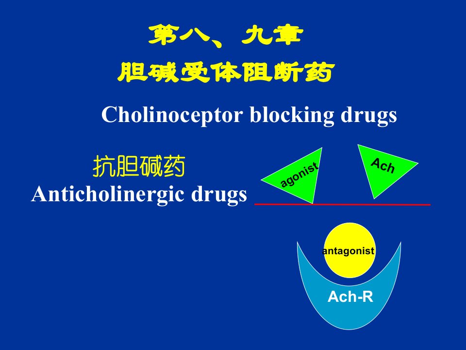 《胆碱阻断药》PPT课件