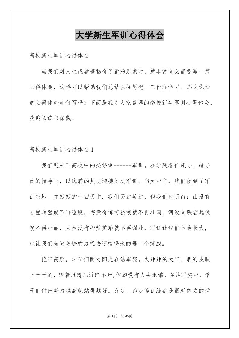 大学新生军训心得体会例文6