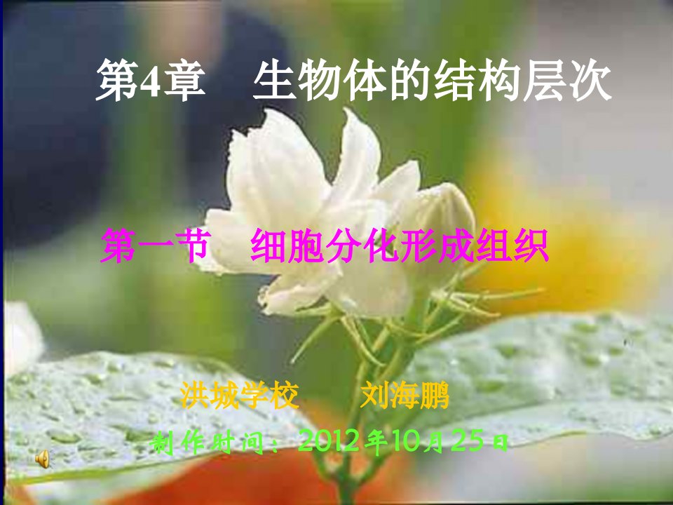 生物上册细胞分化形成组织北师大