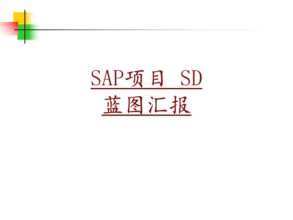 SAP项目SD蓝图汇报PPT课件