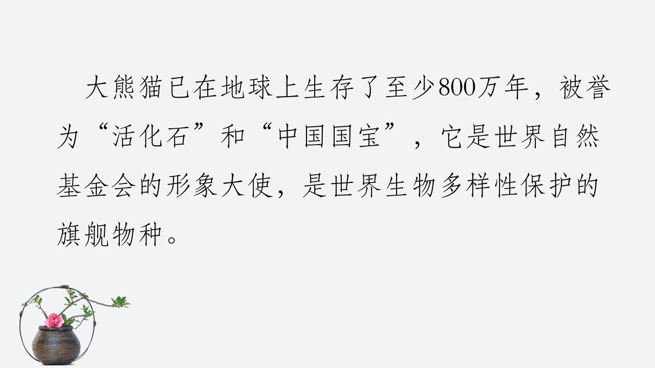 统编版语文三年级下册第七单元习作国宝大熊猫课件15页