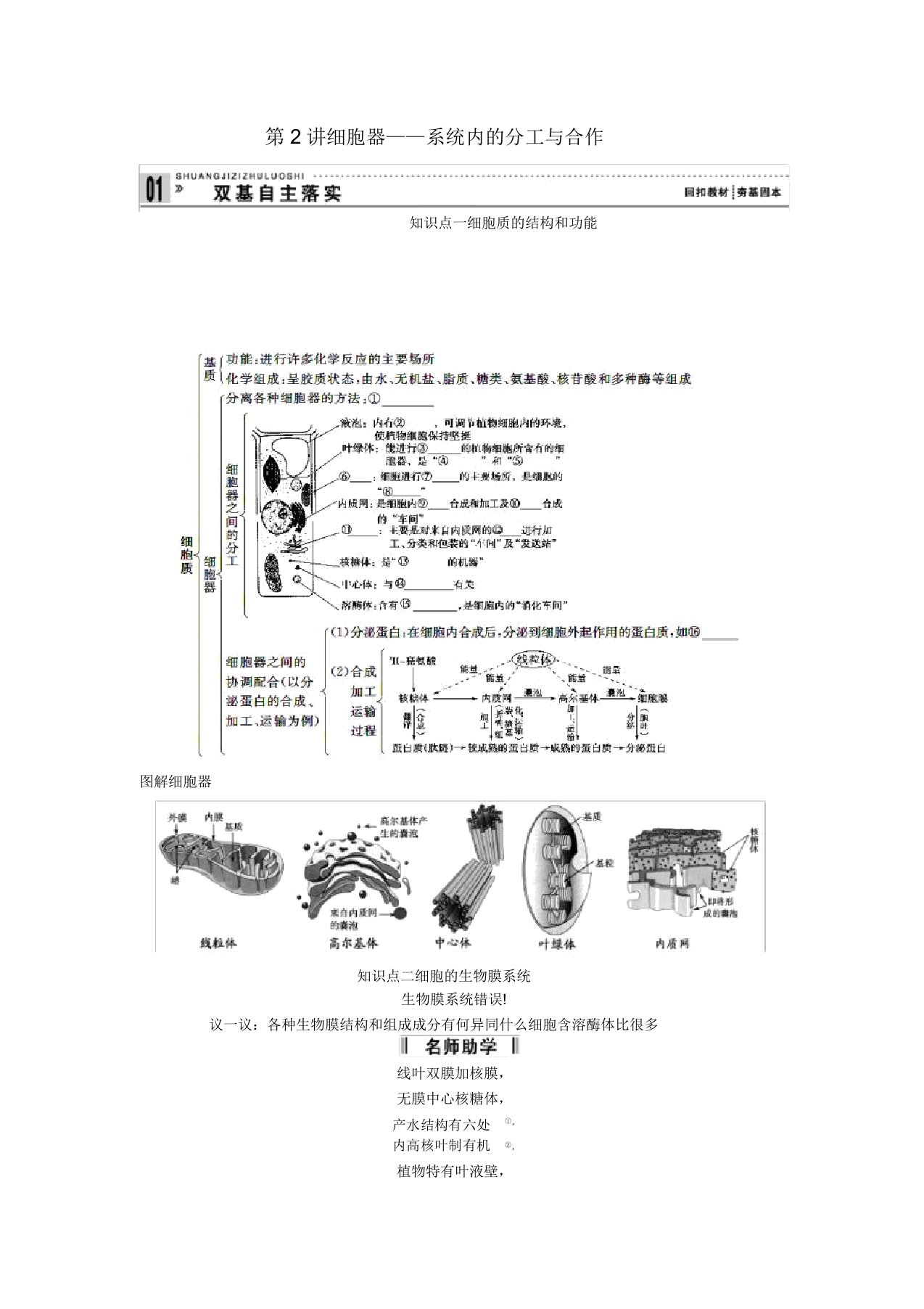 2022届高考生物一轮复习讲义1.2.2细胞器