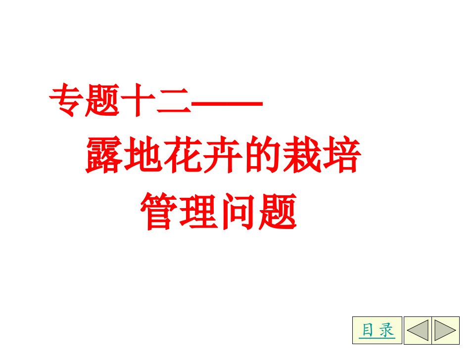 露地花卉的栽培管理问题