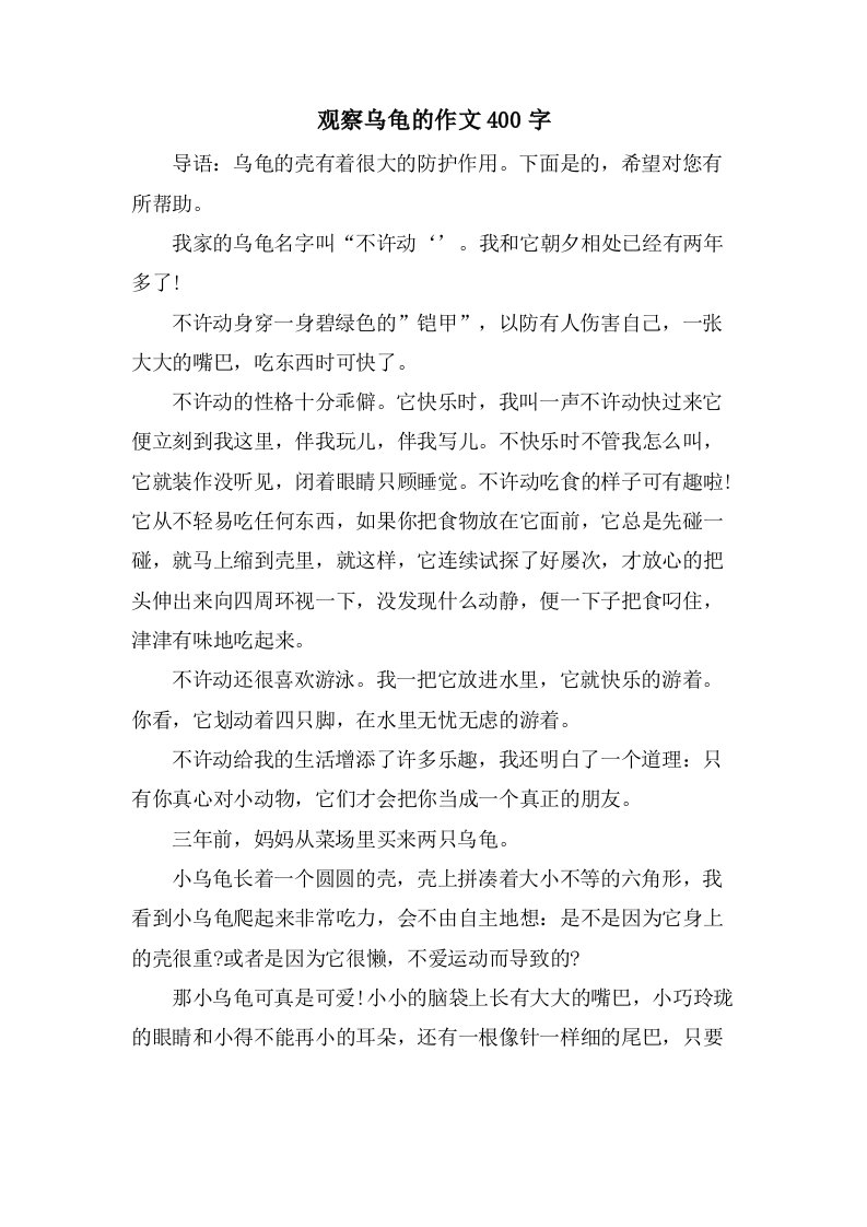 观察乌龟的作文400字