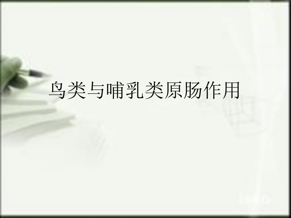 《鸟类哺乳类》PPT课件