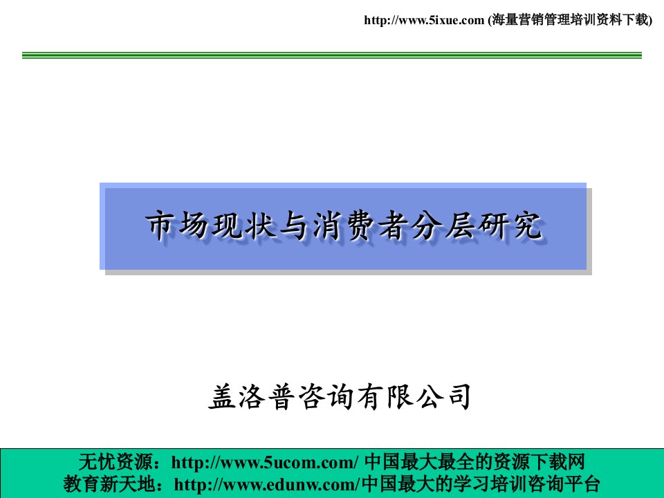 盖洛普市场现状与消费者分层研究