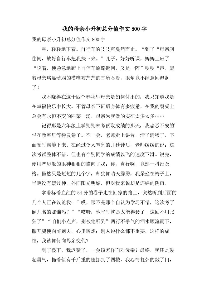 我的母亲小升初作文800字