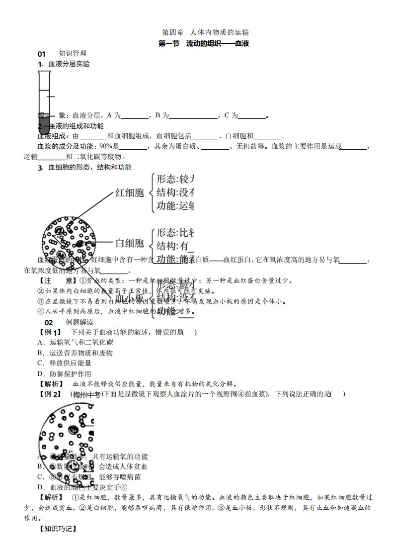 最新人教版初中七年级生物下册第四章同步练习题