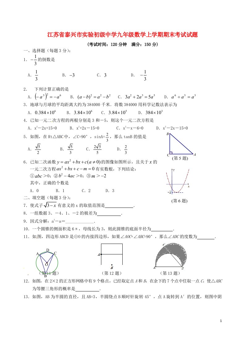 江苏省泰兴市实验初级中学九级数学上学期期末考试试题