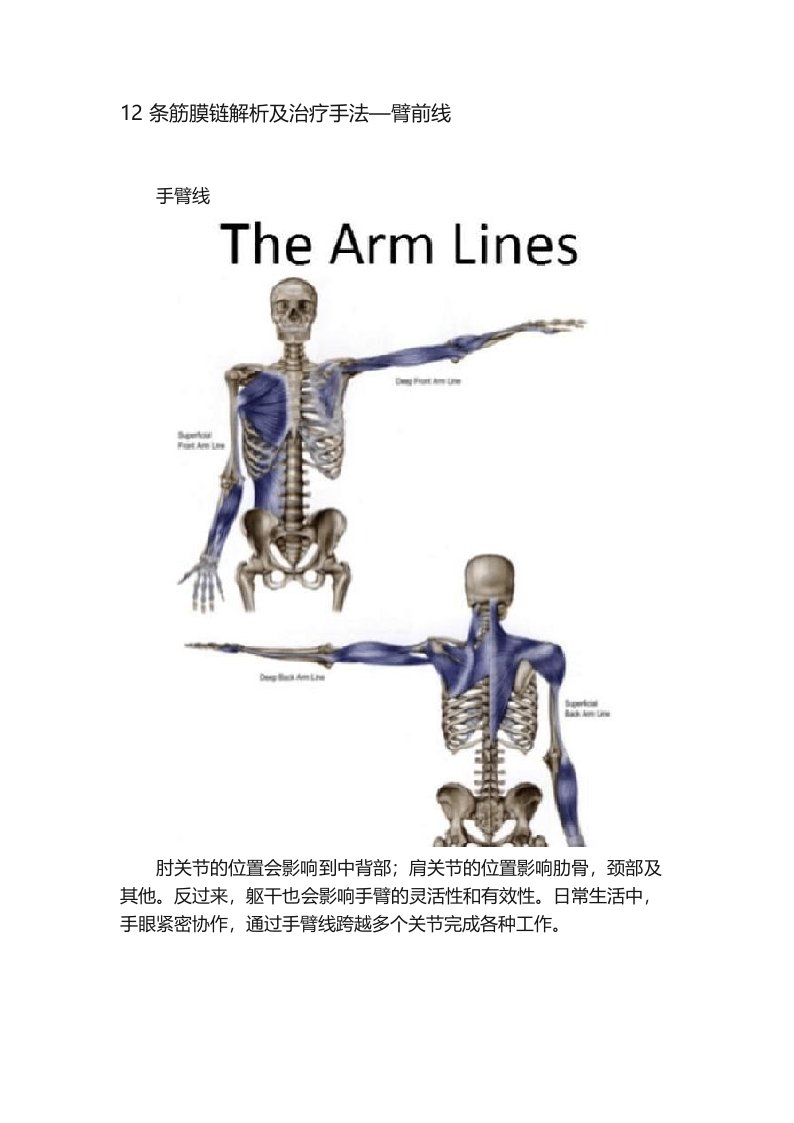 12条筋膜链解析及治疗手法—臂前线