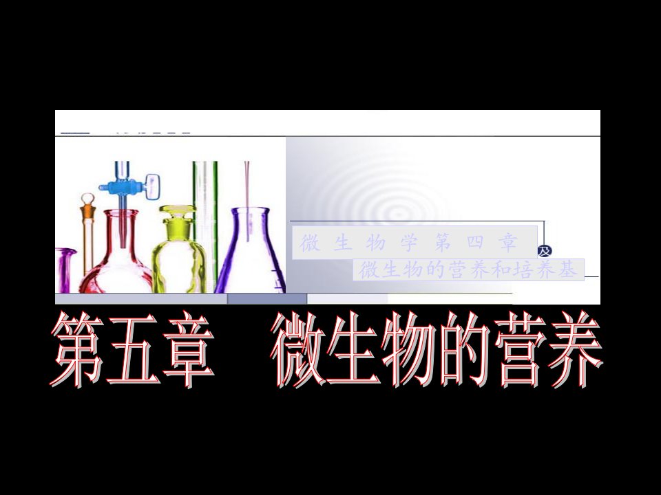 微生物学第四章ppt课件