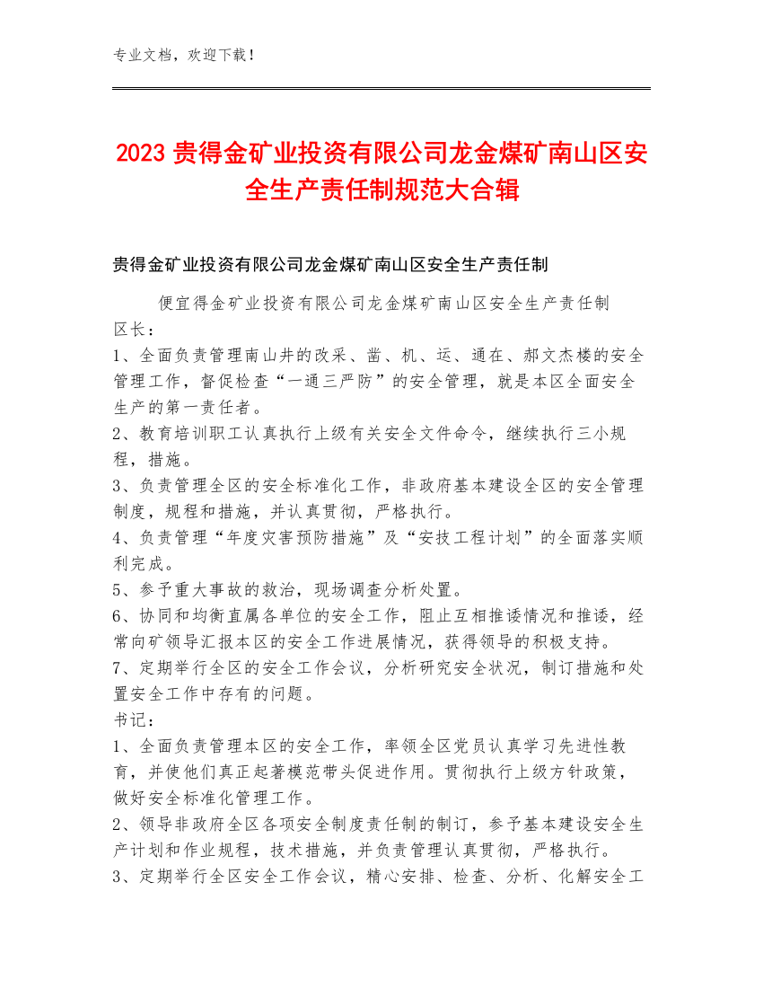 2023贵得金矿业投资有限公司龙金煤矿南山区安全生产责任制规范大合辑