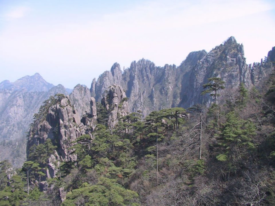 黄山奇松课件