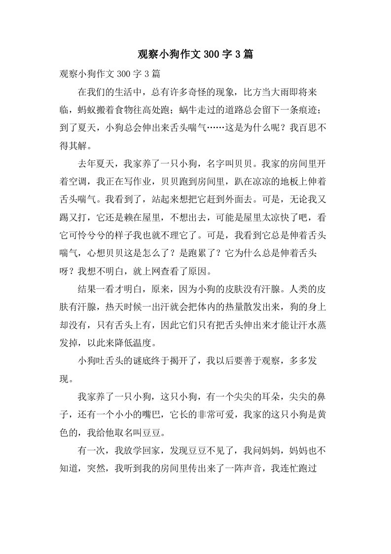 观察小狗作文300字3篇