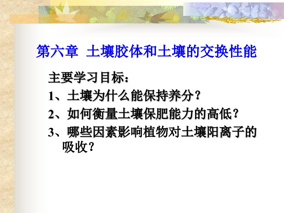 土壤胶体和土壤的交换性能