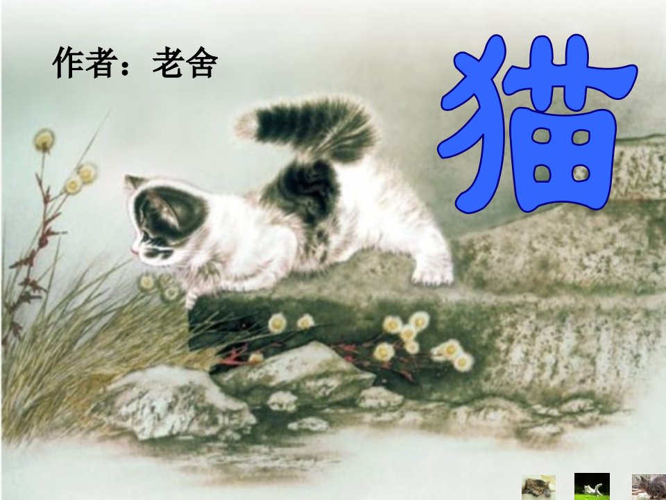 《猫》老舍(公开课课件)课件