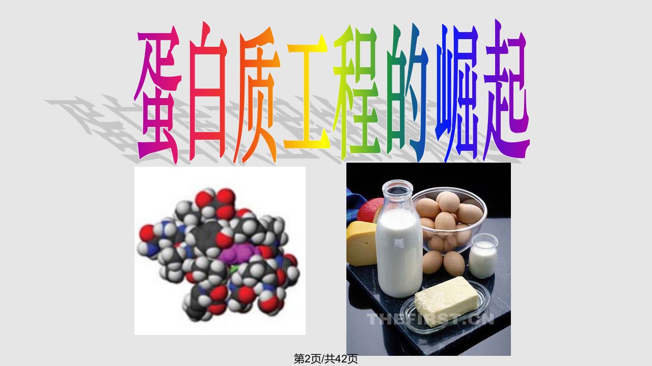 蛋白质工程的崛起讲课