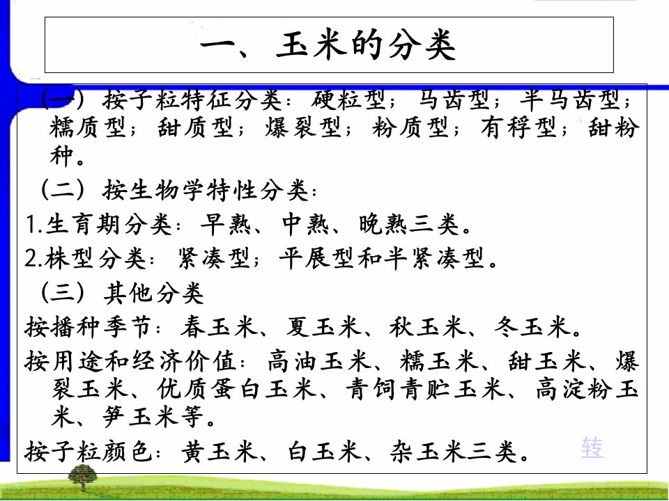 玉米基础知识和施肥技术教育课件