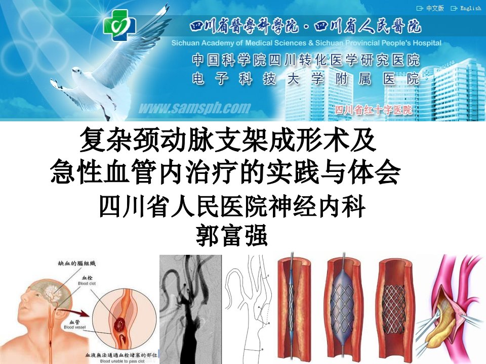 复杂颈动脉支架成形术及急性血管内治疗实践与体会ppt课件