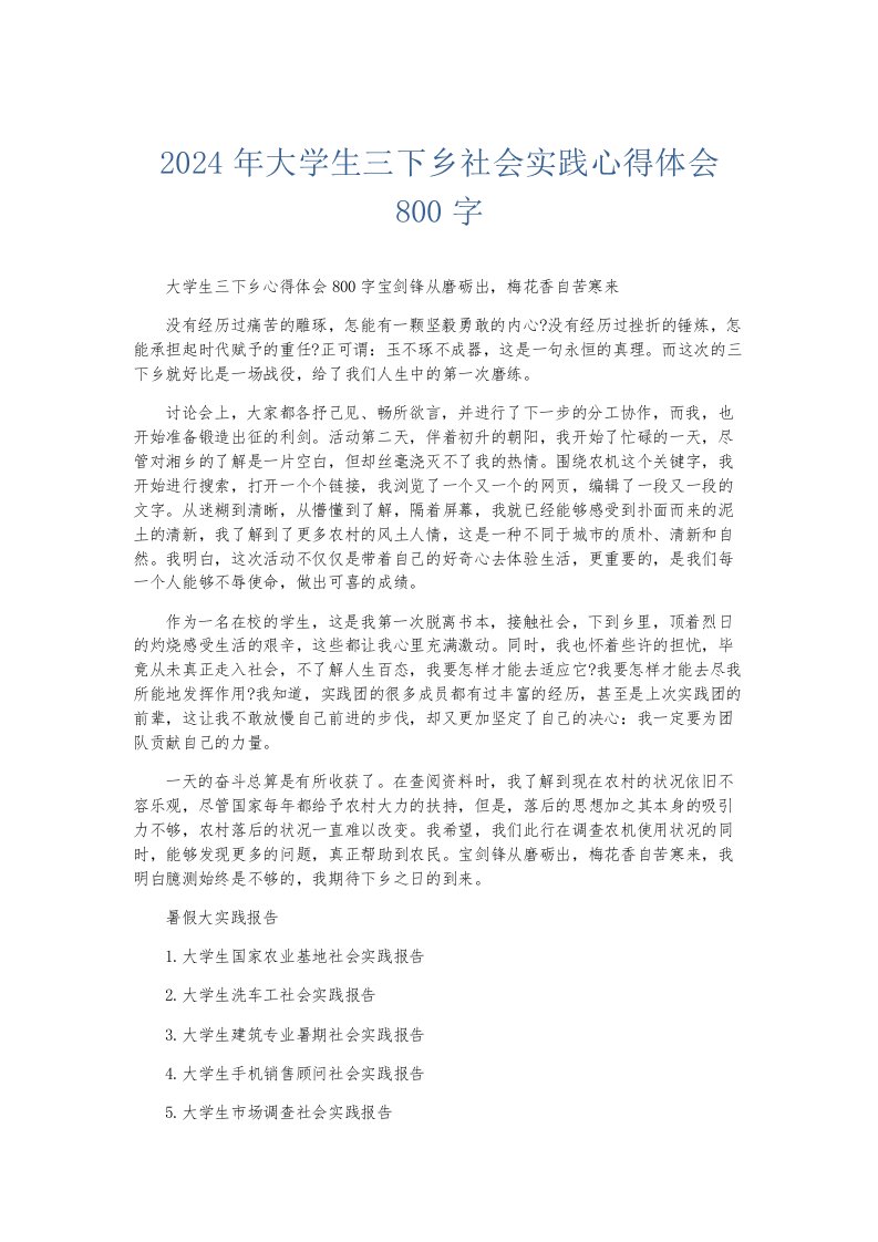 总结报告2024年大学生三下乡社会实践心得体会800字