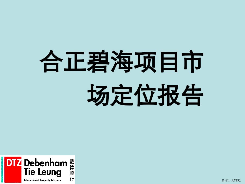 戴德梁行深圳合正碧海综合体项目市场定位报告课件