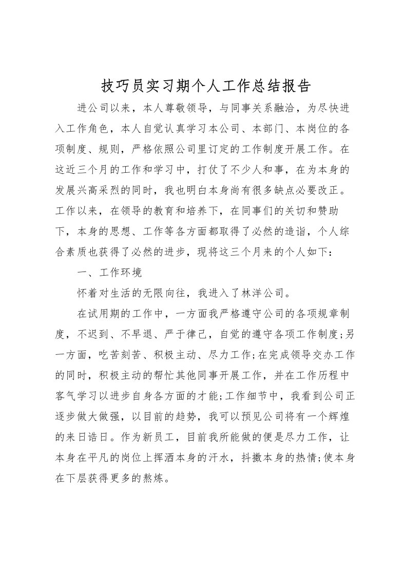 2022技巧员实习期个人工作总结报告