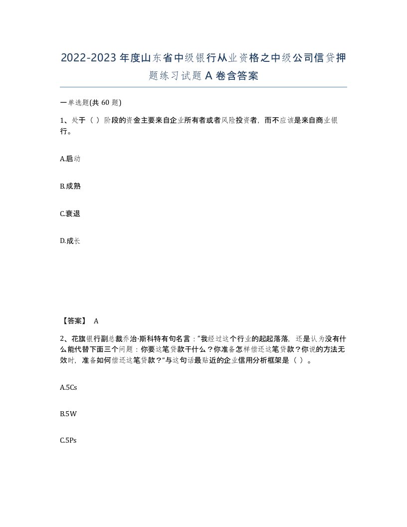 2022-2023年度山东省中级银行从业资格之中级公司信贷押题练习试题A卷含答案