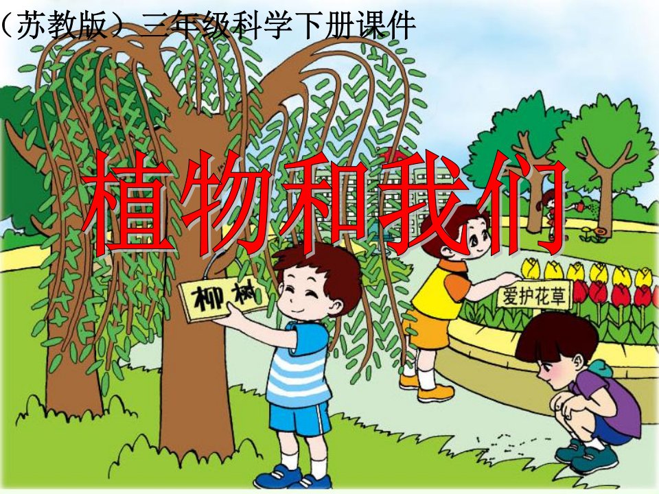 小学三年科学下植物和我们