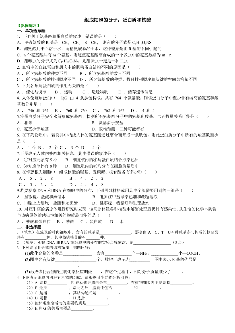 组成细胞的分子：蛋白质和核酸