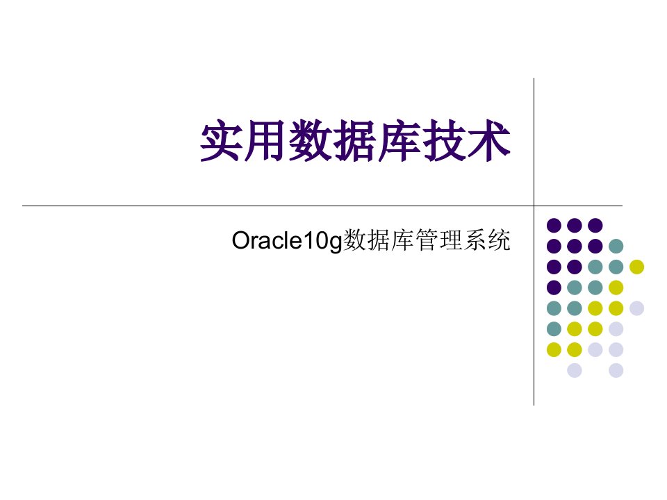 Oracle10g数据库管理系统