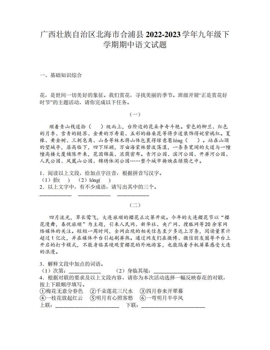 广西壮族自治区北海市合浦县2022-2023学年九年级下学期期中语文试题