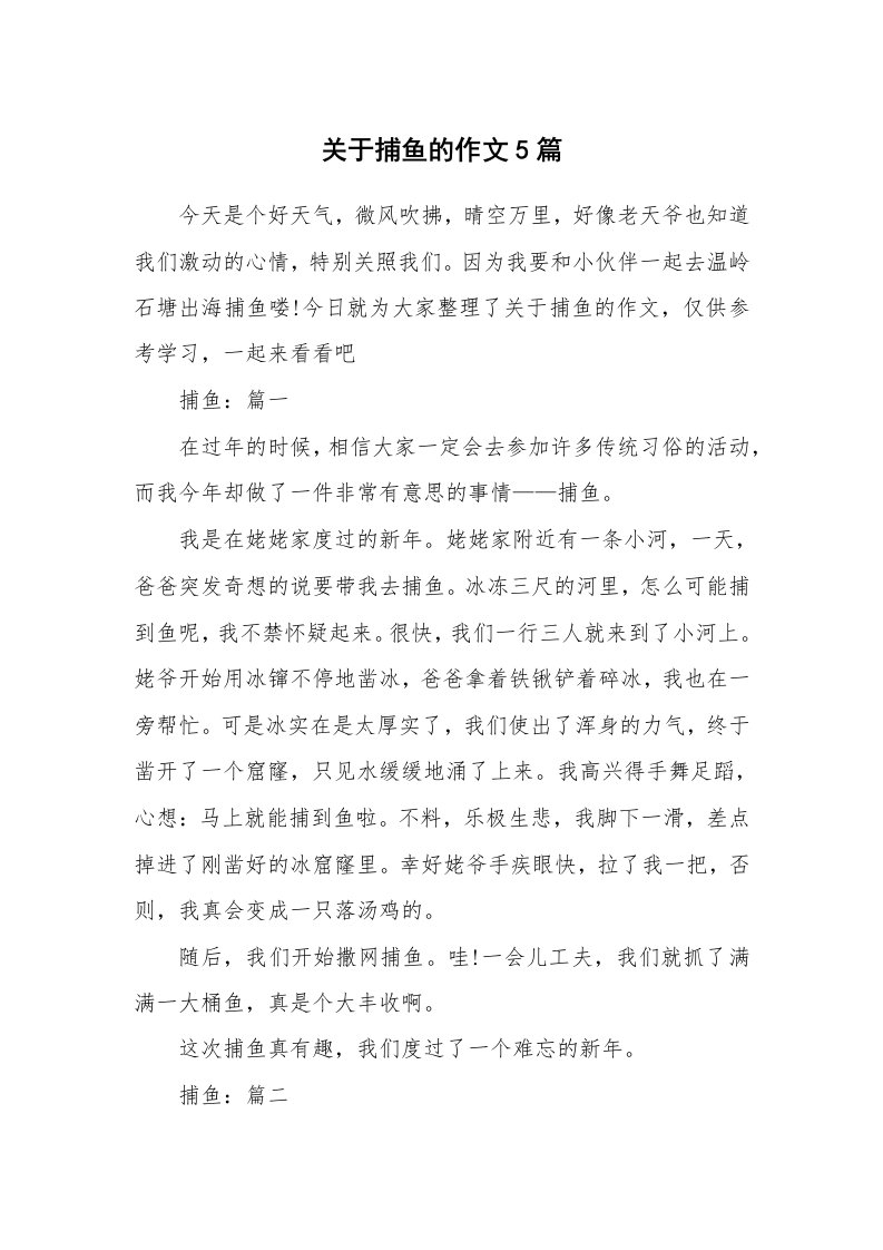 活动总结_关于捕鱼的作文5篇