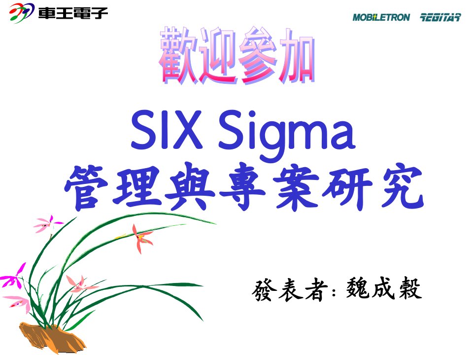 6SIGMA管理與專案研究