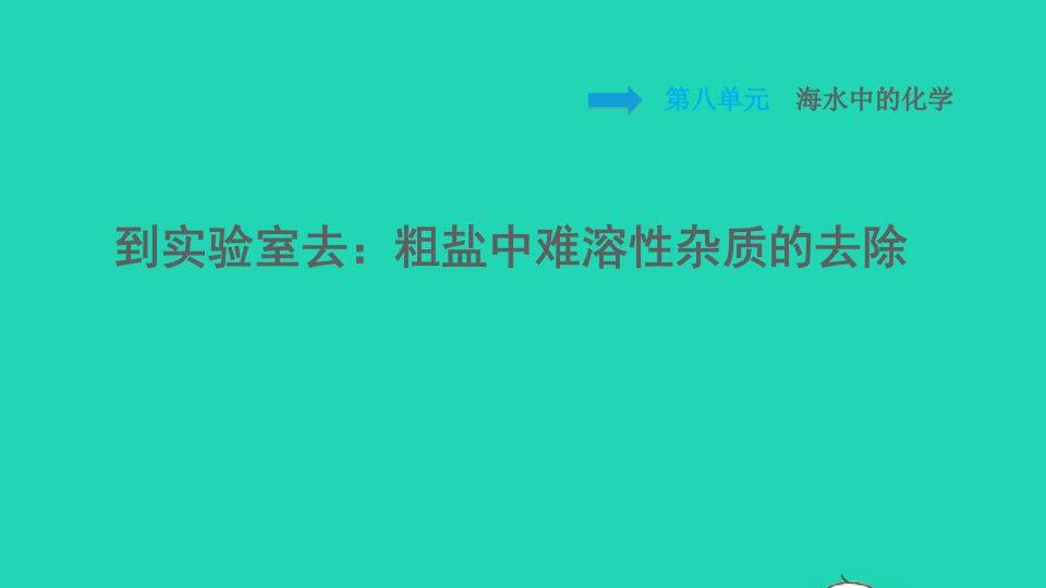 2022九年级化学下册第8单元海水中的化学到实验室去：粗盐中难溶性杂质的去除习题课件鲁教版