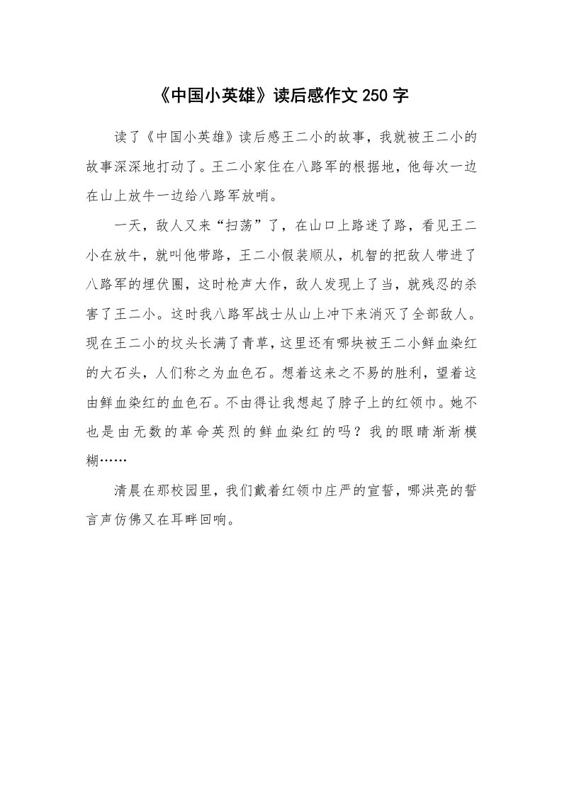 《中国小英雄》读后感作文250字