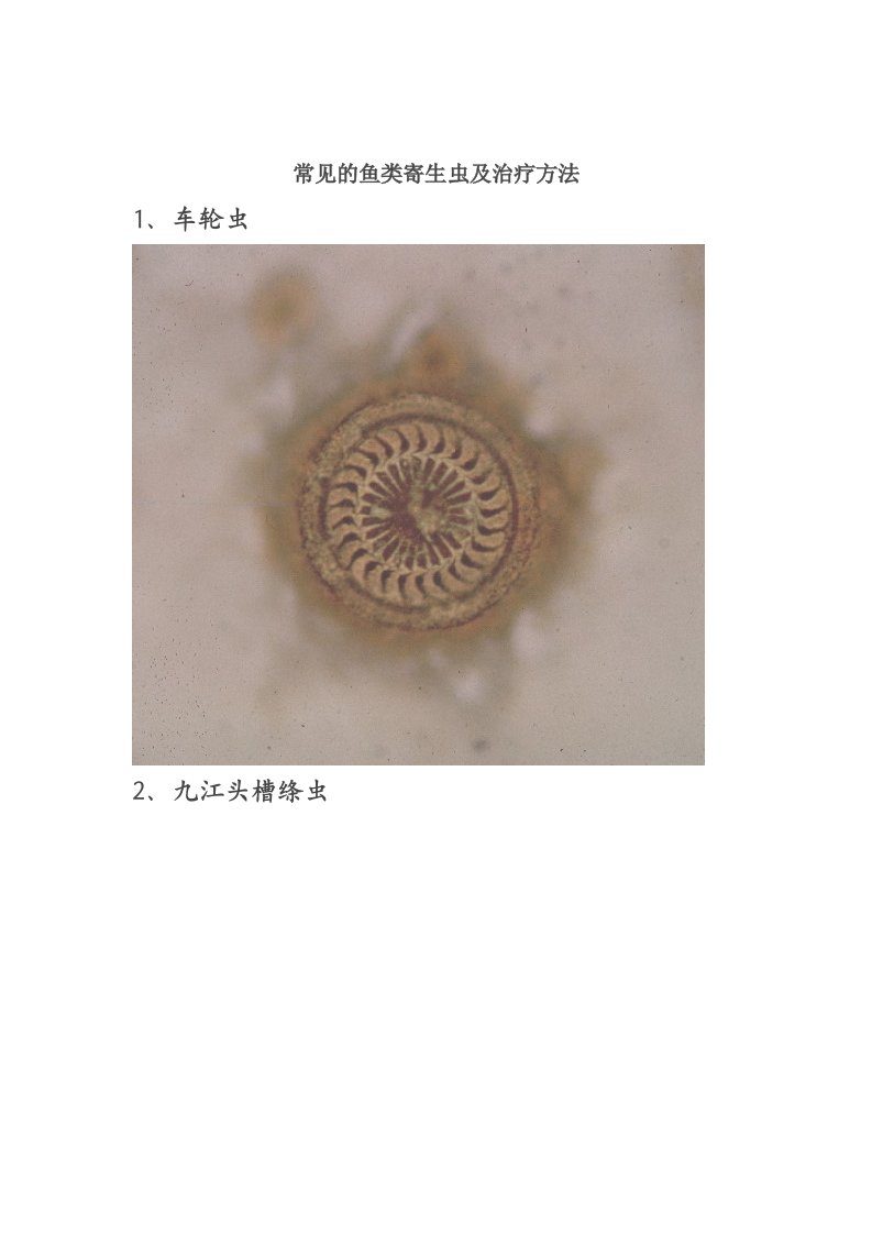 常见的鱼类寄生虫_图文