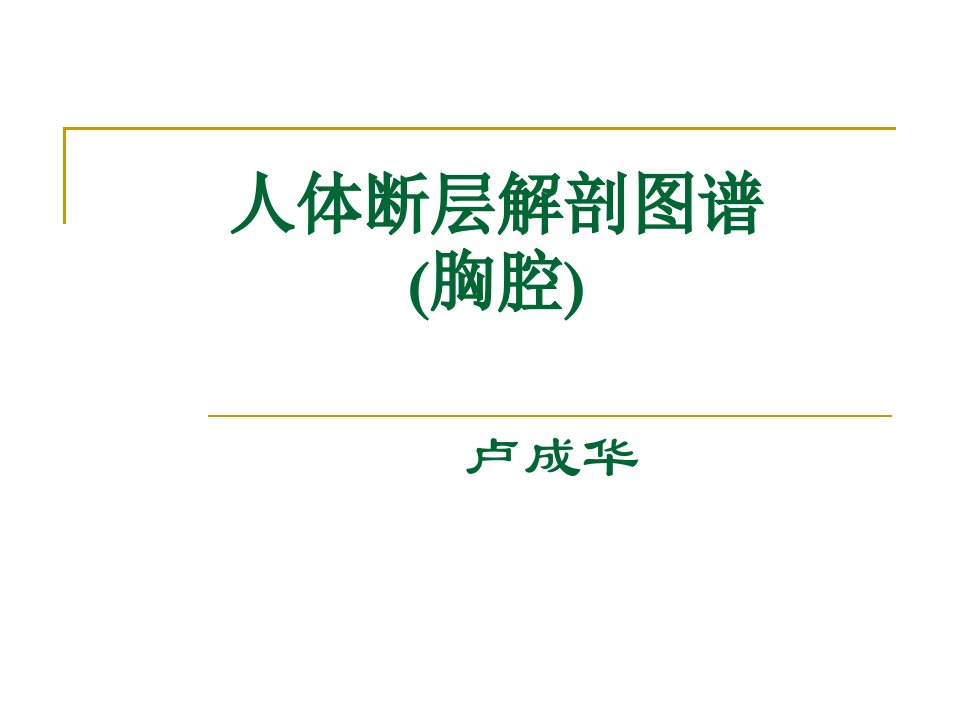 人体断层解剖图谱胸腔