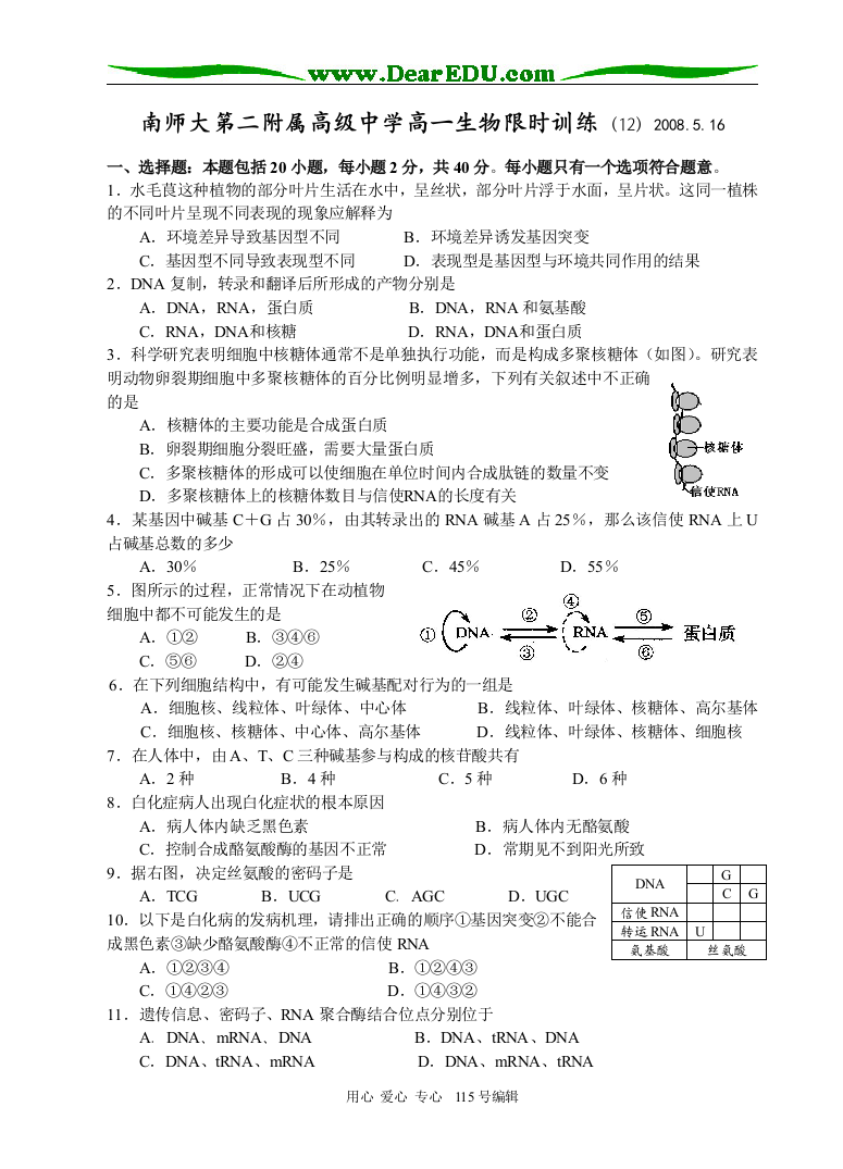 南师大第二附属高级中学高一生物限时训练（12）人教版必修二