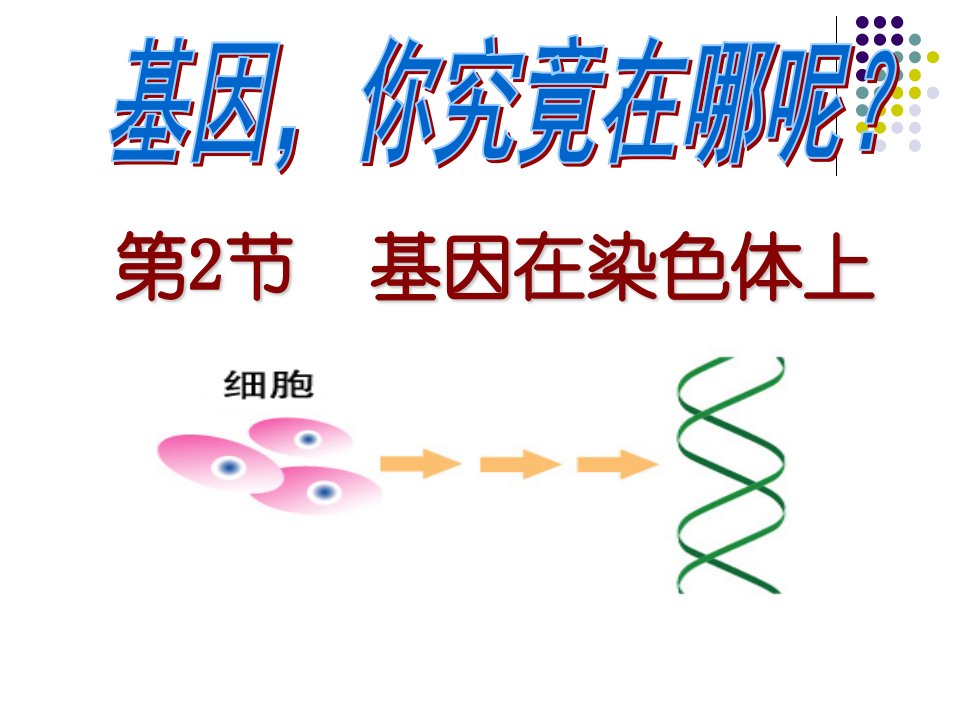 基因在染色体上(公开课)