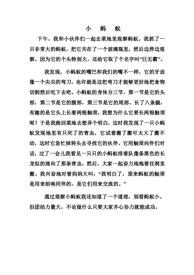 人版小学三年级语文上册第四单元习作范文