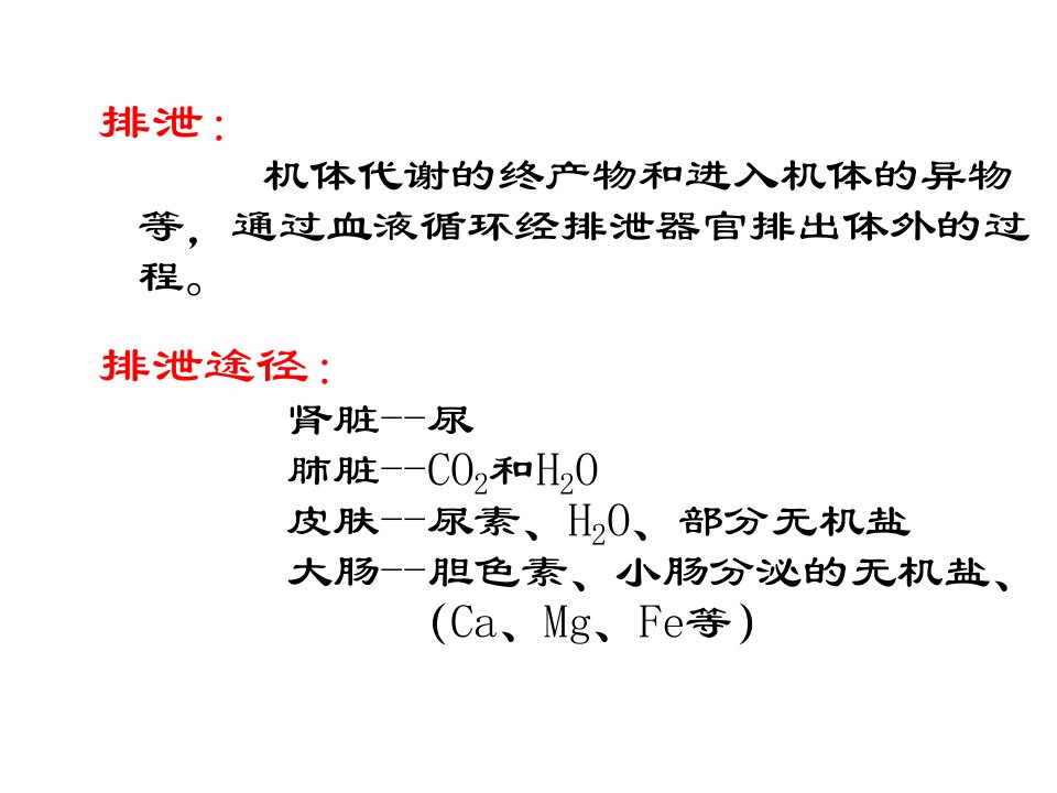 《动物生理学泌尿》PPT课件