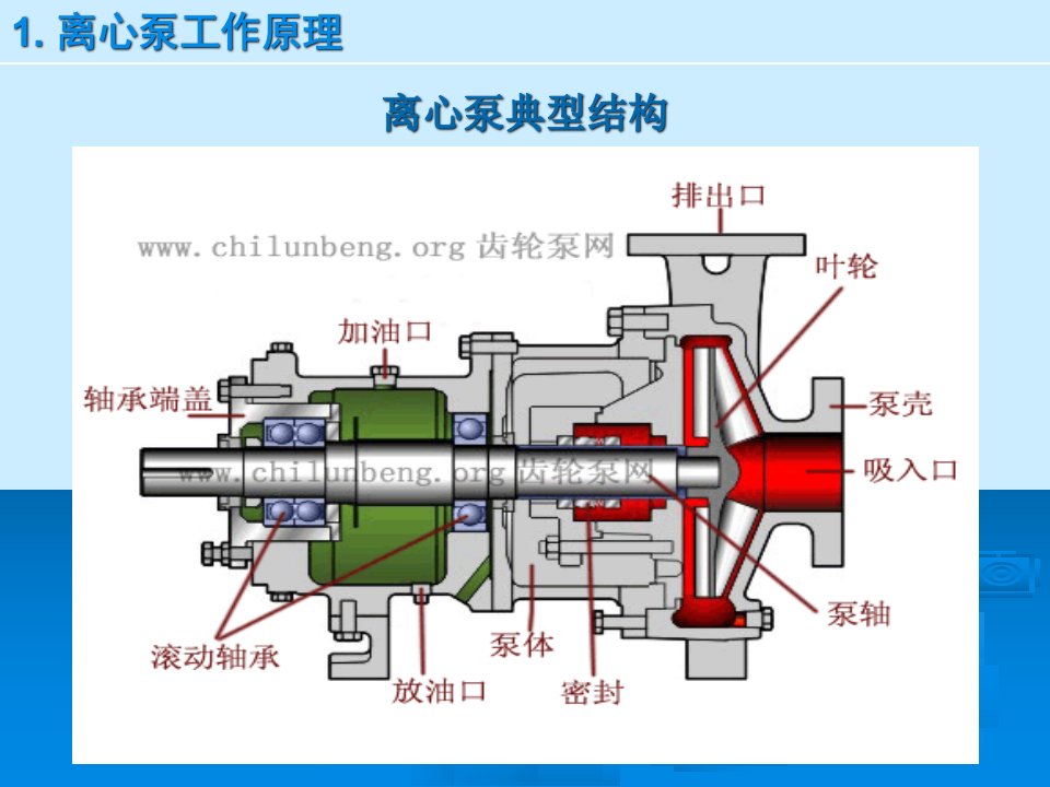 离心泵结构原理与实际操作